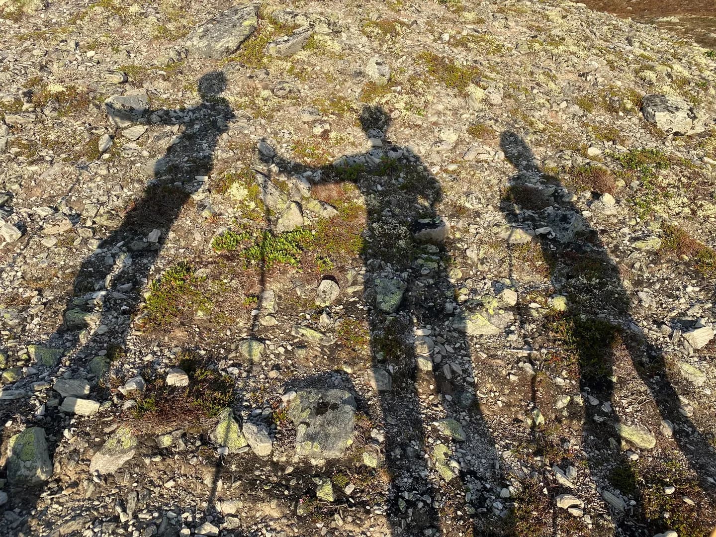 Rusle og Tusle til Kojevangen innenfor Storvollan i Kakelldalen.