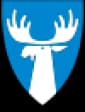 Tynset kommunevåpen