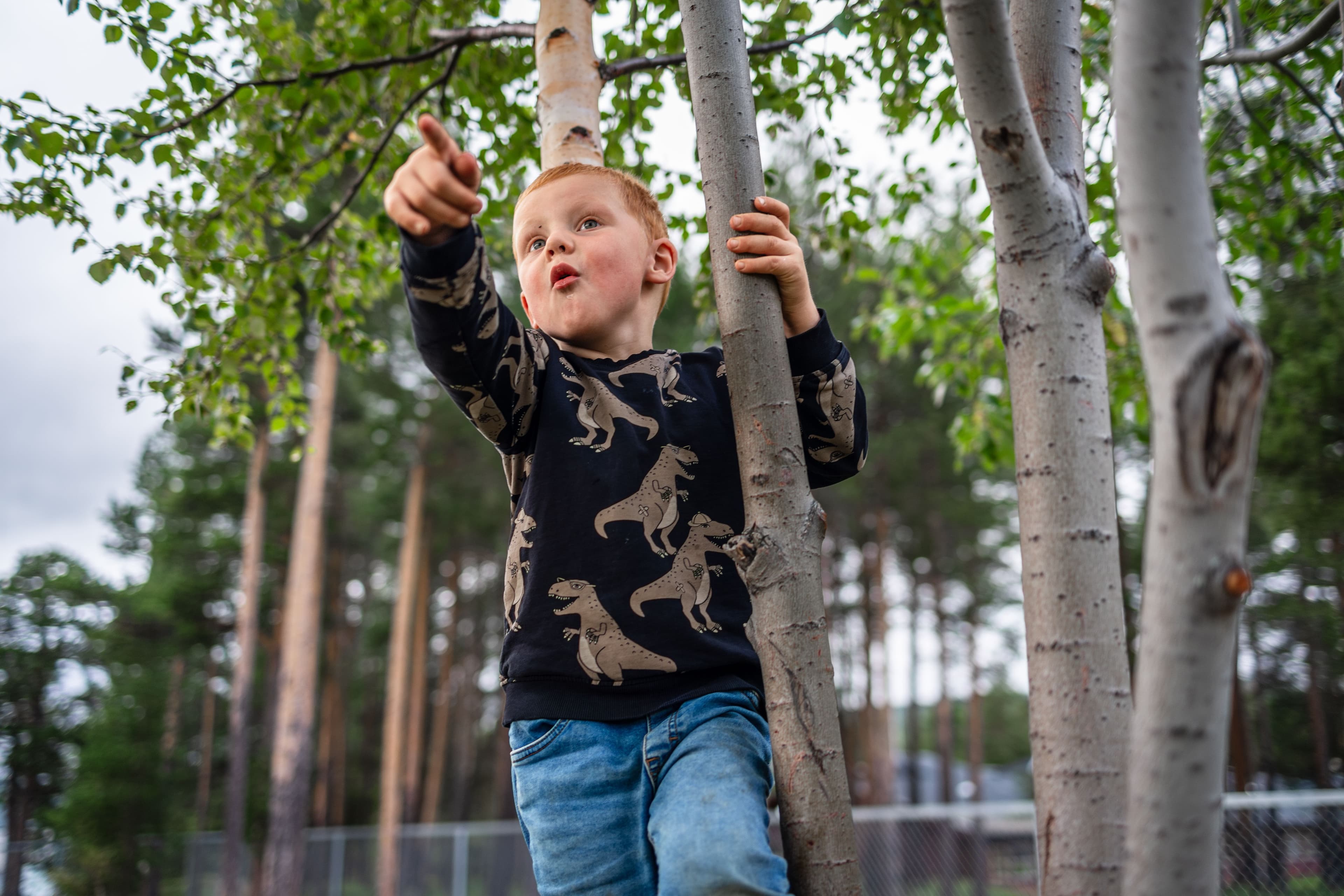 Gutt leker i trærne